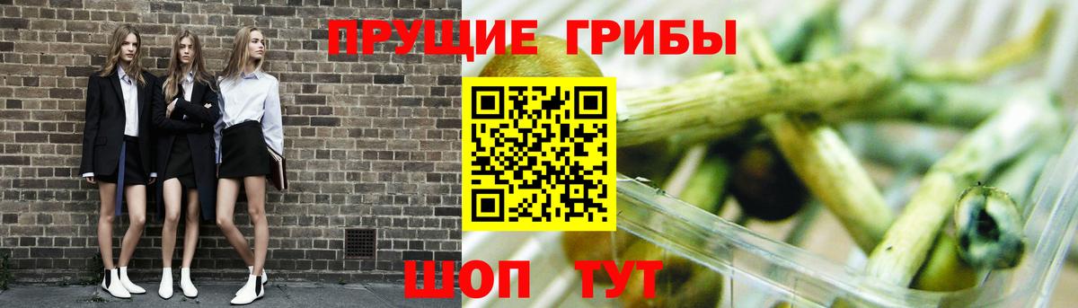 Галлюциногенные грибы прущие грибы Тавда