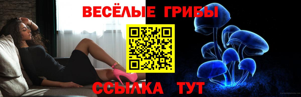 Тавда  Псилоцибиновые грибы Psilocybe  Вход с VPN  Псилоцибиновые грибы Magic Shrooms 